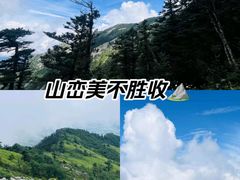 -秦岭风景区