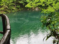 -石台牯牛降景区