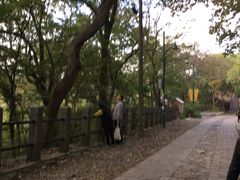 -上海佘山国家森林公园西佘山园