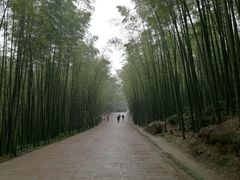 -竹野·上|老字号全竹宴