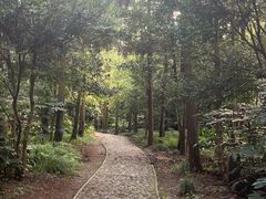 -狼山风景名胜区