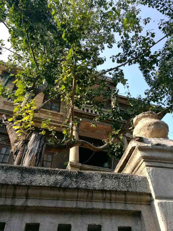 张浙洲旧宅位于天津市和平区长春道184号保护等级属于一般保护等级那