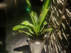 -臻享养生·SPA·影院式足道(汇臻店)