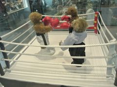 -济州岛泰迪熊博物馆