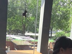 -丹江渔村(望京店)