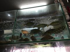 -台山美食一绝阿四台山黄鳝饭(阿四创作店)