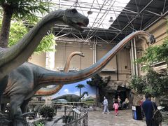 -国家自然博物馆