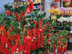-溪岸路花鸟市场