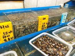 -渔民船说·北塘海鲜·天津菜·海肠捞饭(北塘古镇店)