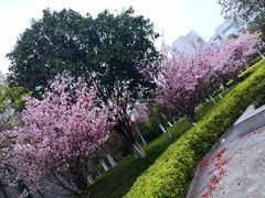 -杭州师范大学(下沙校区)