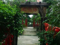 -海南铜鼓岭景区