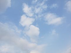 -青枫公园
