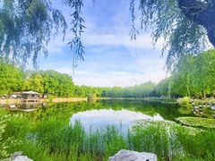 -东湖落雁景区