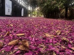 -广州市紫泥堂文化创意园景区