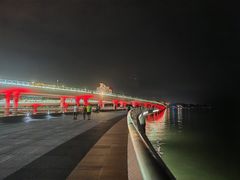 -演武大桥观景平台