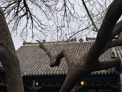 -张学良旧居陈列馆