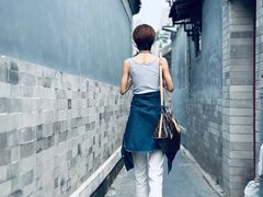 -北京国子监胡同