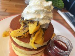 -Elephant Grounds(STARSTREET)