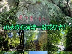 -王顺山国家森林公园