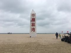 -东郊椰林