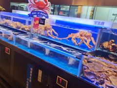 -同庆楼(天鹅酒家店)