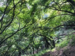 -房山世界地质公园博物馆