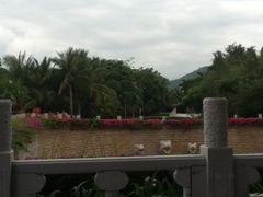 272-三亚亚龙湾雅高美爵酒店