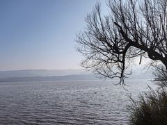 -西昌邛海湾柏樾酒店(原邛海湾柏栎度假酒店)