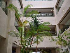 -上海交通大学医学院附属瑞金医院(总院)