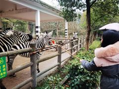 -贵州森林野生动物园