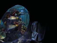 -成都浩海立方海洋公园