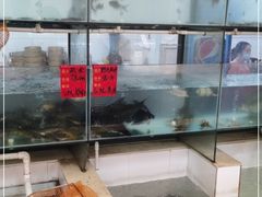 水产区-小乡小镇·传承桐庐土菜·老板亲自烧的菜