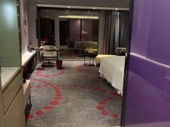 -南京禄口机场雅高铂尔曼大酒店