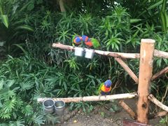 -南宫五洲植物乐园