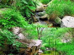 -碓臼峪自然风景区