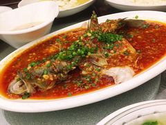 -芙蓉凰花园酒楼