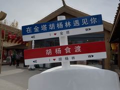 -金塔沙漠胡杨林景区