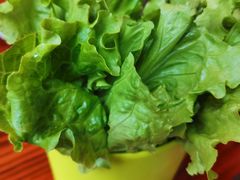 -炭虎子水浒烤肉(梦时代店)