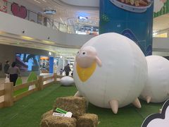 -阳光天地