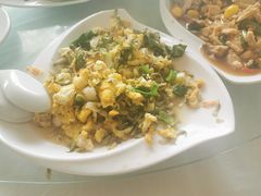 -中原农家乐(中原饭店)