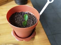 -半天妖烤鱼(方庄店)