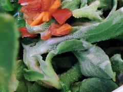 -素满香·食养自助(建邺万达店)