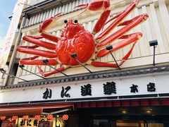 -蟹道乐(道顿堀本店)