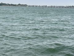 -丁香湖公园