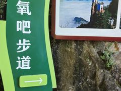 -塔云山