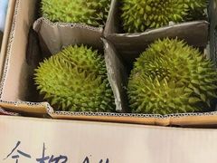 -海吉星市场