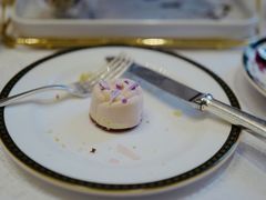 -The Lounge大堂酒廊·咖啡·沙拉·下午茶(金茂深圳JW万豪酒店)