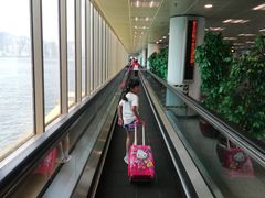 -尖沙咀中国客运码头
