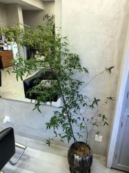 -艺鑫发型工作室YX·HAIR STUDIO