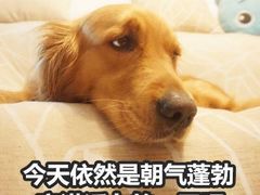 -尚岛私房菜(西方巷店)